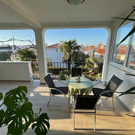 Palma *